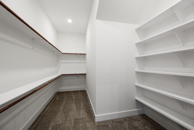 4610 Cashel Glen Dr, Houston, TX 77069 - spacious closet with dark colored carpet