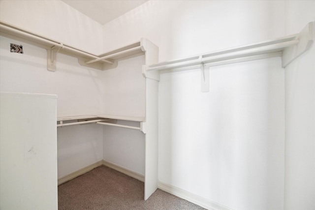 walk in closet featuring carpet flooring