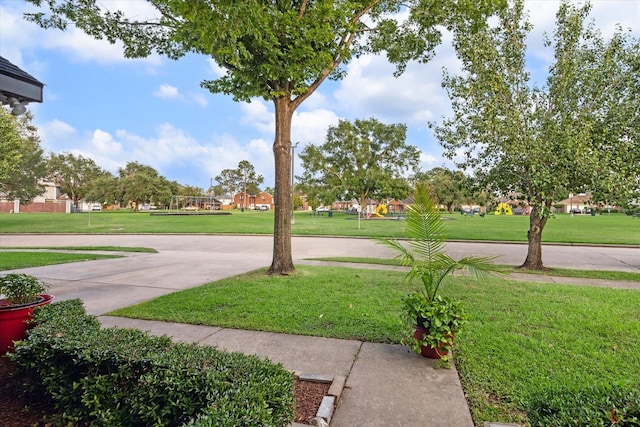 view of community with a yard