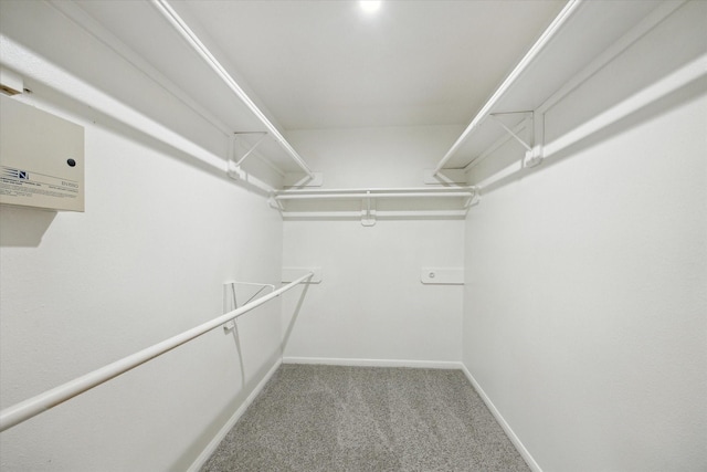 spacious closet with light colored carpet