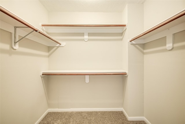 107 Mango St, Lake Jackson, TX 77566 - spacious closet featuring carpet flooring