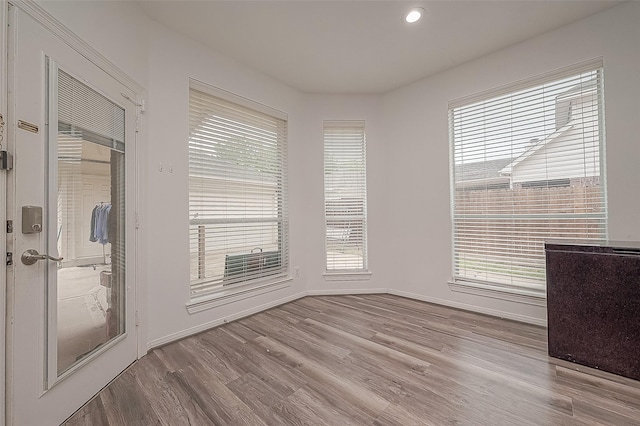 spare room with baseboards, a wealth of natural light, and wood finished floors