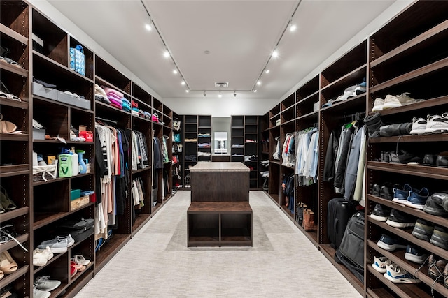 2710 Steel St Unit 301, Houston, TX 77098 - view of spacious closet
