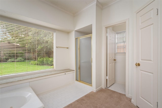 4423 Nassau Dr, Sugar Land, TX 77479 - bathroom featuring ornamental molding, a stall shower, and a wealth of natural light