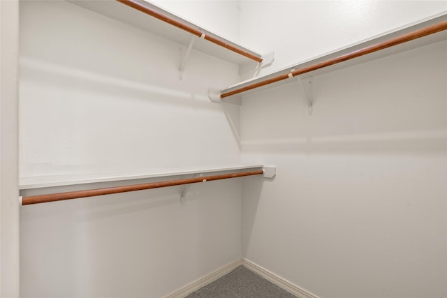 4423 Nassau Dr, Sugar Land, TX 77479 - spacious closet featuring carpet