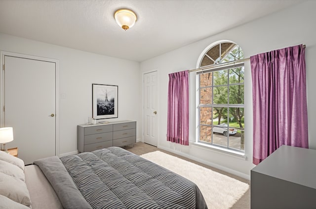 4423 Nassau Dr, Sugar Land, TX 77479 - bedroom featuring baseboards and light carpet