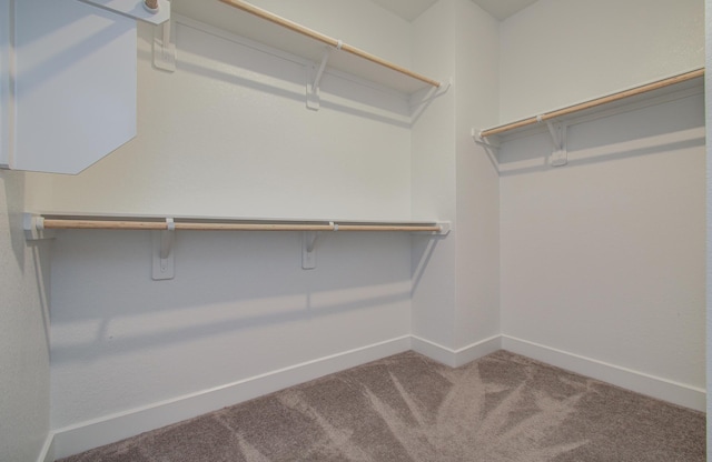 8815 Drysdale River Rd, Cypress, TX 77433 - walk in closet featuring carpet flooring