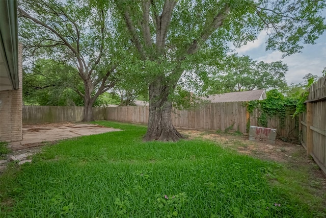 view of yard featuring a fenced backyard and a patio area