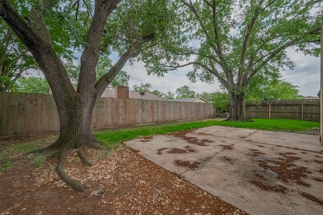 view of yard featuring a fenced backyard and a patio area