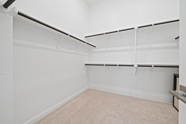 spacious closet with carpet floors
