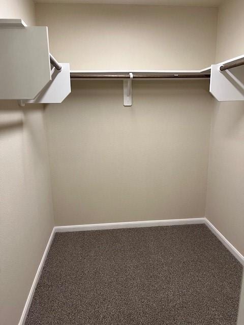 walk in closet with carpet