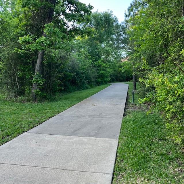 135 Bates Ct, Huntsville, TX 77320 - view of road
