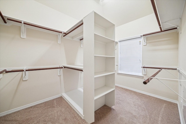2707 Kings Retreat Cir, Kingwood, TX 77345 - walk in closet featuring carpet flooring