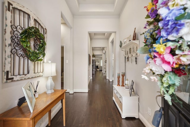 foyer entrance with baseboards, a raised ceiling, and dark wood-type flooring