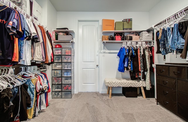 walk in closet featuring carpet floors