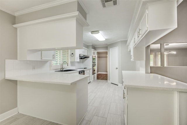 2706 Williams Grant St, Sugar Land, TX 77479 - kitchen featuring visible vents, a sink, decorative backsplash, and a peninsula