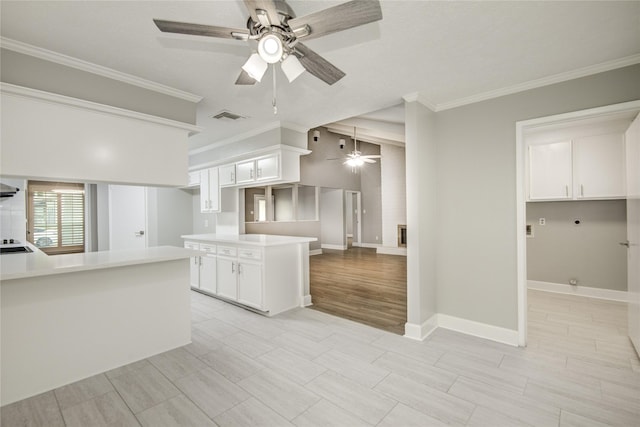2706 Williams Grant St, Sugar Land, TX 77479 - kitchen featuring crown molding, a ceiling fan, and visible vents