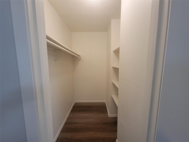 walk in closet with dark wood finished floors