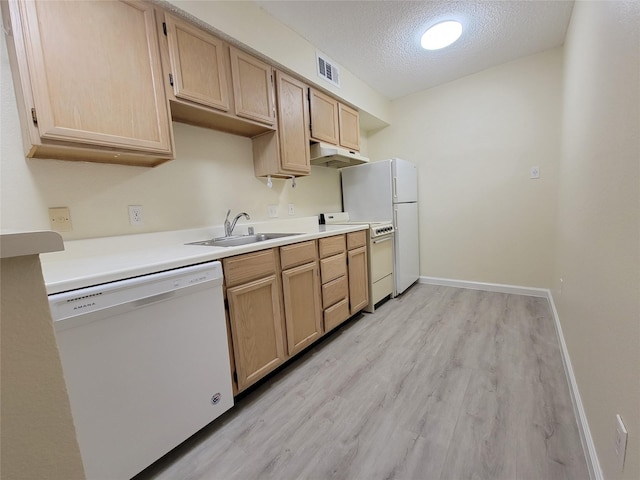 kitchen with visible vents, a sink, light wood finished floors, under cabinet range hood, and white appliances