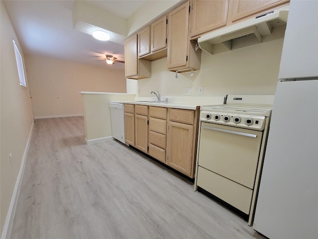 kitchen featuring a sink, white appliances, light countertops, a ceiling fan, and under cabinet range hood