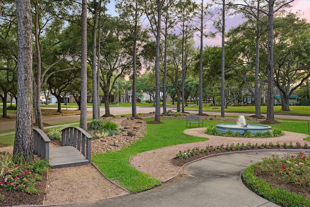view of community with a yard