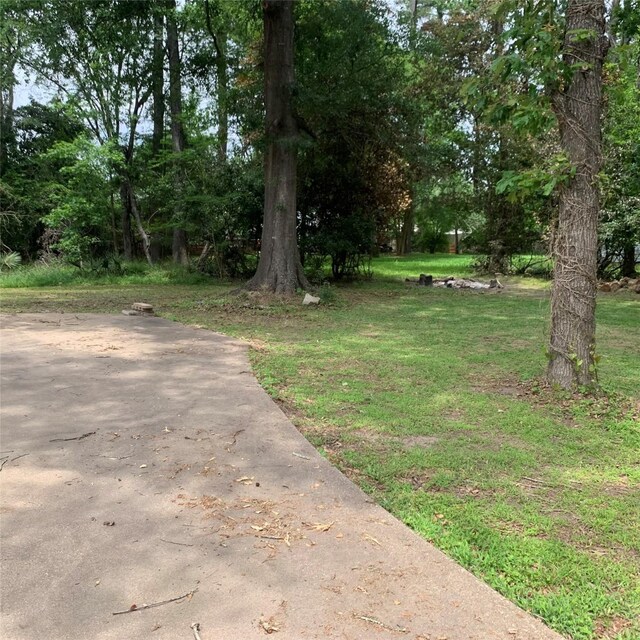 169 Lakeview Pnes, Livingston, TX 77351 - view of grassy yard