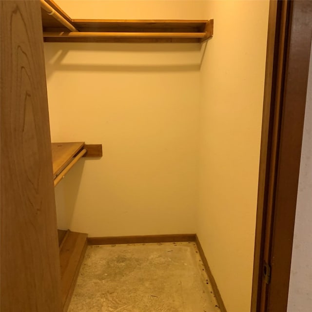 169 Lakeview Pnes, Livingston, TX 77351 - view of spacious closet