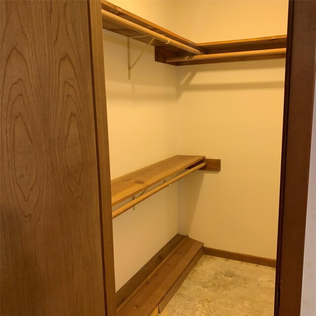 169 Lakeview Pnes, Livingston, TX 77351 - view of spacious closet