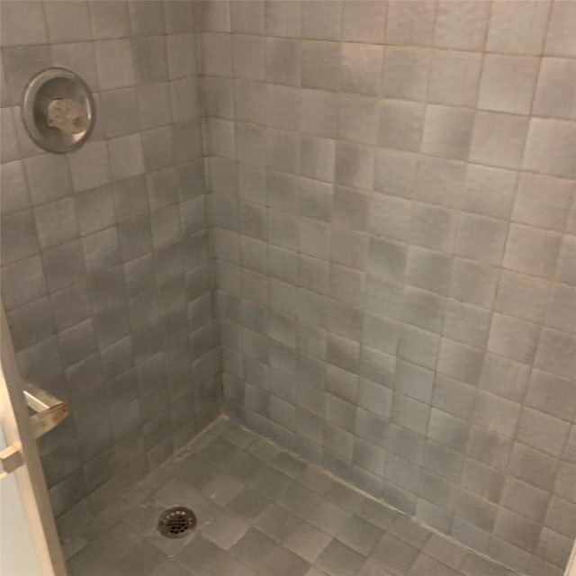 169 Lakeview Pnes, Livingston, TX 77351 - bathroom featuring tiled shower