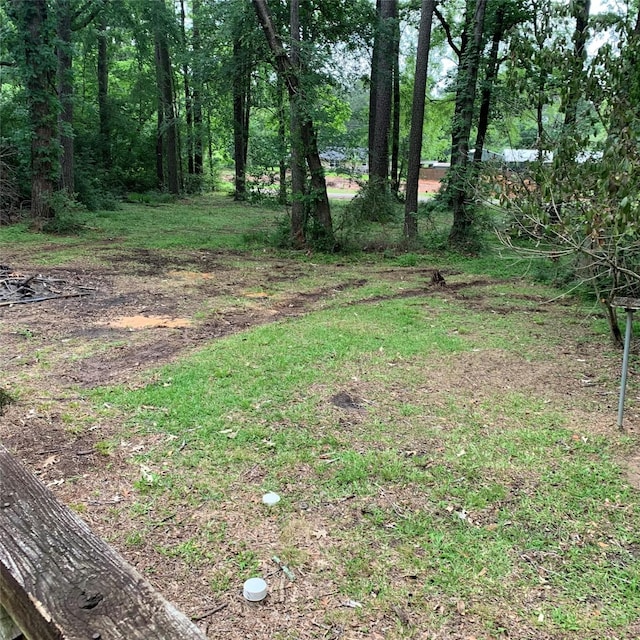 169 Lakeview Pnes, Livingston, TX 77351 - view of yard