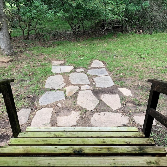 169 Lakeview Pnes, Livingston, TX 77351 - view of yard