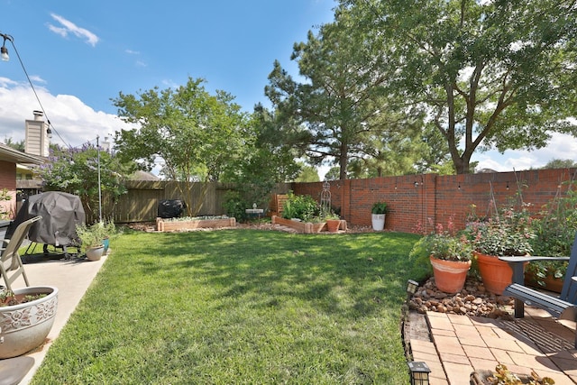 view of yard featuring a vegetable garden