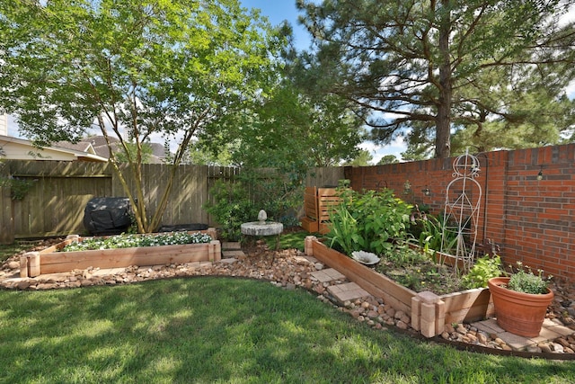 view of yard with a vegetable garden