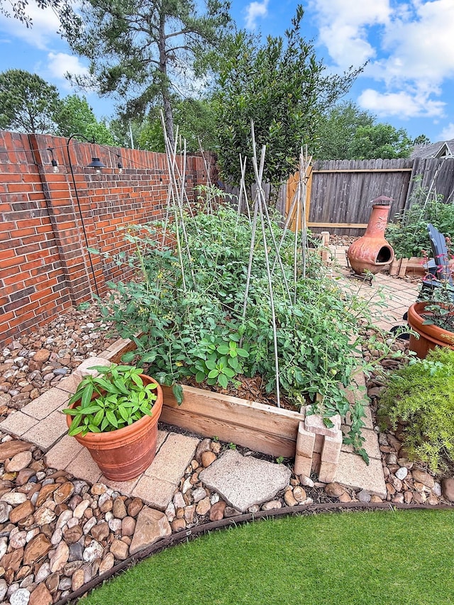 fenced backyard featuring a vegetable garden