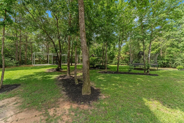 26111 Upper Beacon Pl, Montgomery, TX 77316 - view of yard with a trampoline