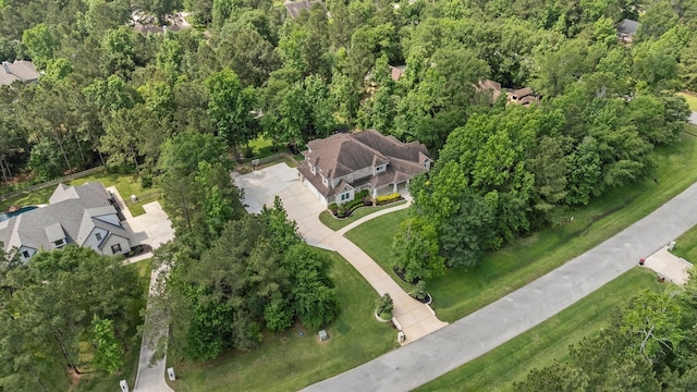 26111 Upper Beacon Pl, Montgomery, TX 77316 - birds eye view of property
