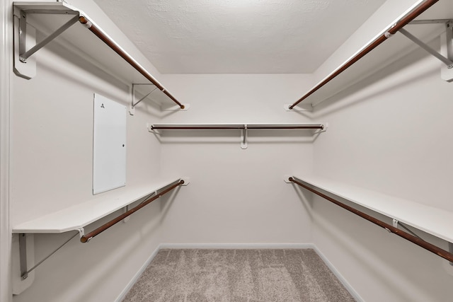 spacious closet with carpet