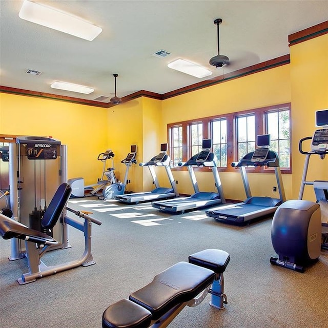 exercise room featuring visible vents, ornamental molding, and carpet