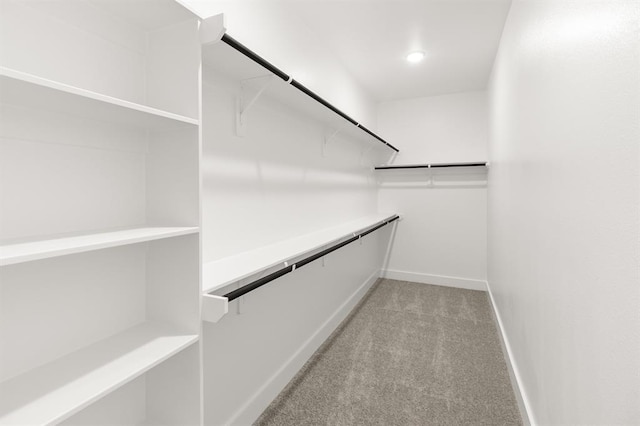 walk in closet with light colored carpet