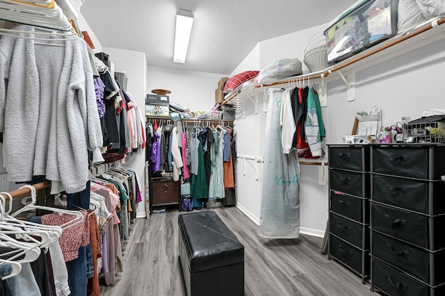 walk in closet featuring wood finished floors
