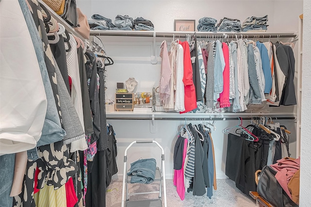 23611 Blackhaw Blossom Ln, Katy, TX 77493 - spacious closet with carpet flooring