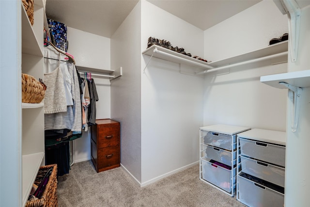 walk in closet featuring carpet floors