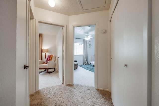 hall featuring light carpet