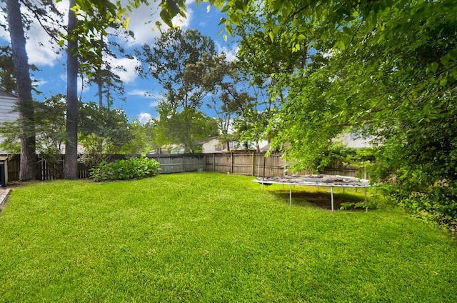 view of yard with a fenced backyard and a trampoline