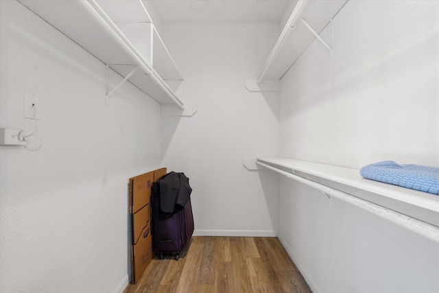 walk in closet featuring light wood-style flooring