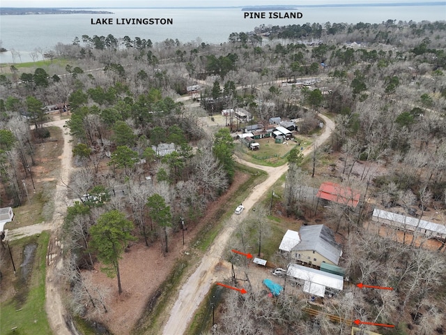 267 Deerfield, Livingston, TX 77351