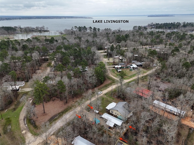 267 Deerfield, Livingston, TX 77351