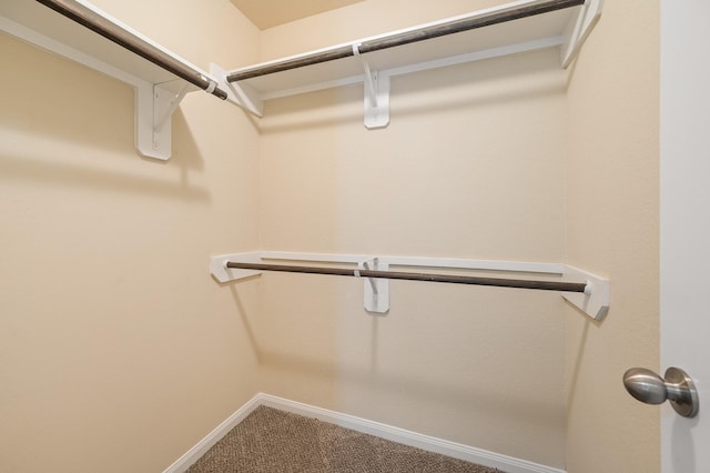 walk in closet with carpet