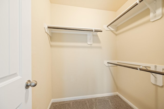 spacious closet with carpet floors