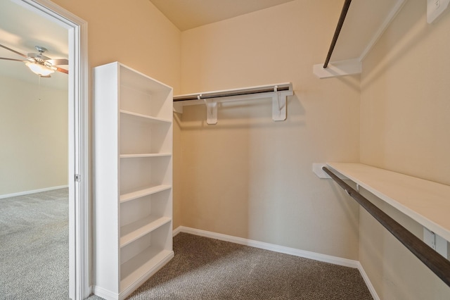 walk in closet with carpet floors and ceiling fan
